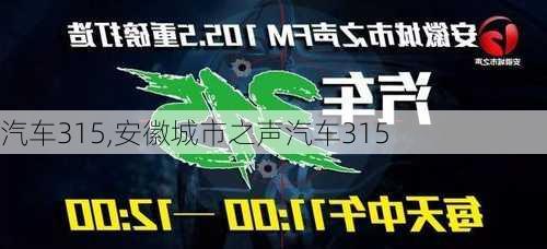 汽车315,安徽城市之声汽车315-第1张图片-买车指南