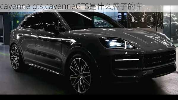 cayenne gts,cayenneGTS是什么牌子的车-第1张图片-买车指南