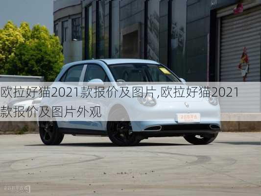 欧拉好猫2021款报价及图片,欧拉好猫2021款报价及图片外观-第1张图片-买车指南