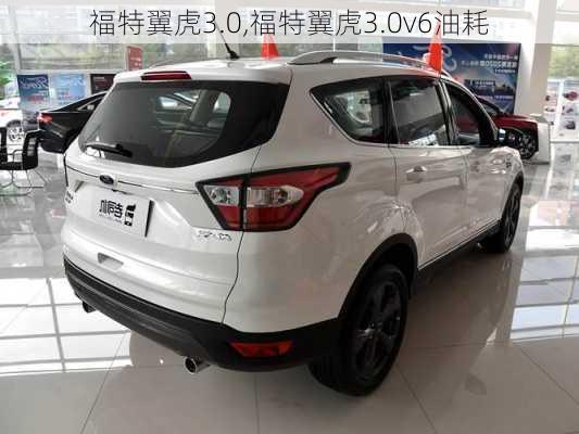 福特翼虎3.0,福特翼虎3.0v6油耗-第2张图片-买车指南