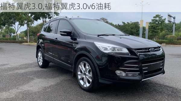 福特翼虎3.0,福特翼虎3.0v6油耗-第3张图片-买车指南