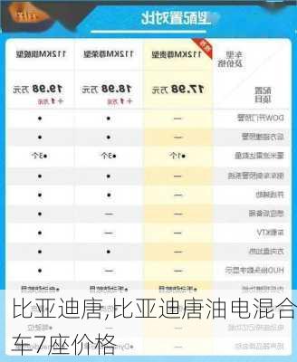 比亚迪唐,比亚迪唐油电混合车7座价格-第2张图片-买车指南