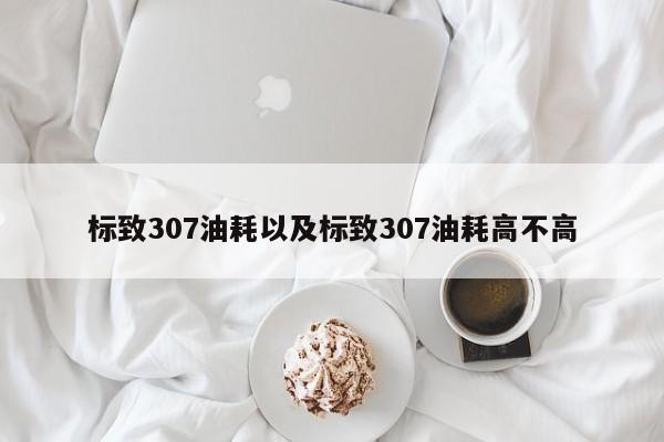 标致307油耗以及标致307油耗高不高-第1张图片-买车指南