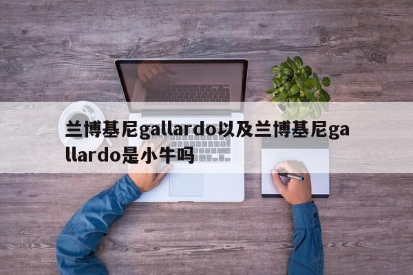 兰博基尼gallardo以及兰博基尼gallardo是小牛吗-第1张图片-买车指南